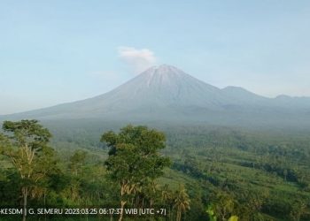 Aktivitas Gunung Semeru alami 21 kali gempa letusan