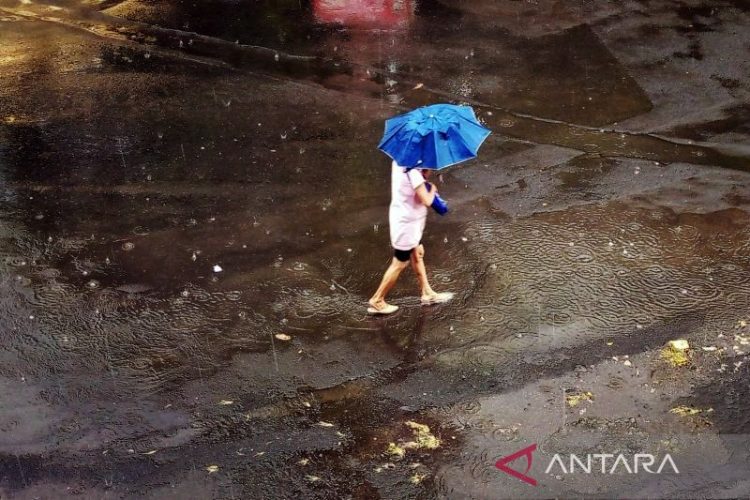 BMKG: Hujan diprakirakan liputi mayoritas kota besar di Indonesia