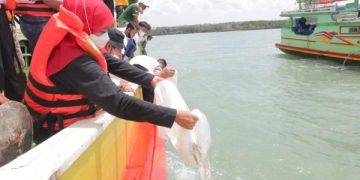 Daya Beli Nelayan di Jatim Turun 2 Persen - AMEG.ID