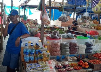 Diskoperindagkop: Harga bahan pokok di Teluk Wondama masih stabil