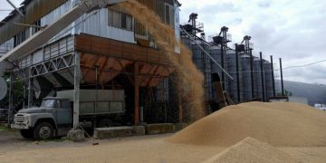 Ekspor gandum Rusia pada Desember mendekati rekor tertinggi