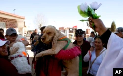 Pendeta Katolik Justino Limachi memberkati anjing dengan memercikkannya dengan air suci setelah Misa di paroki Villa Adela untuk merayakan pesta San Roque, santo pelindung anjing, di El Alto, Bolivia, Kamis, 16 Agustus 2018. (AP/Juan Karita)