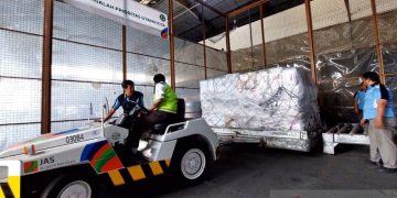 JAS dukung penyaluran bantuan kemanusiaan RI ke Pakistan