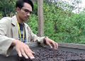 KKN UGM kembangkan inovasi kopi di daerah 3T - ANTARA News
