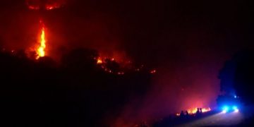 Kebakaran hutan dahsyat terjadi lagi di Portugal - ANTARA News