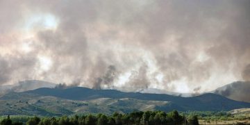 Kebakaran hutan di Spanyol hanguskan 4.000 hektare lahan, 1.500 warga terpaksa mengungsi