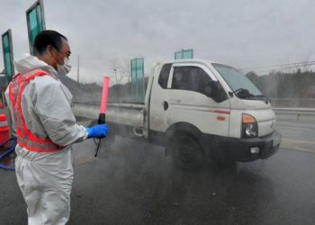 Korea Selatan laporkan lagi kasus flu burung