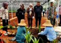 Mentan ingin kembalikan Indonesia sebagai negara nyiur melambai - ANTARA News
