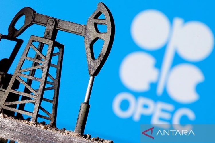 Panel OPEC+ tak mungkin ubah kebijakan minyak di pertemuan 1 Februari