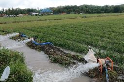 Petani sebut bantuan pompa air Kementan cegah dampak buruk El Nino - ANTARA News Jawa Timur