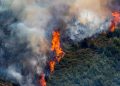 Petugas Pemadam Kebakaran Spanyol Berupaya Kendalikan Amukan Kebakaran Hutan