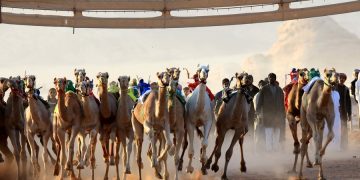 Potret Timur Tengah: Mengintip keseruan balap unta di gurun pasir Yordania