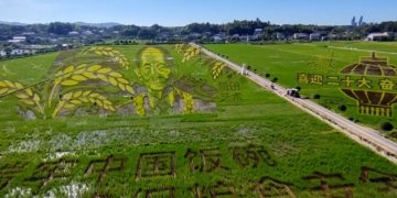 Potret raksasa Yuan Longping dilukis dengan padi di Hunan - ANTARA News