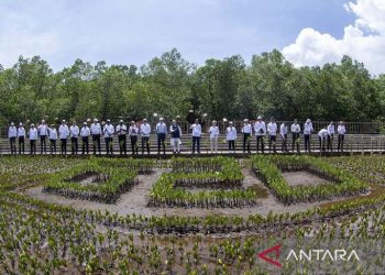 Presiden Jokowi ajak para pemimpin negara G20 menanam mangrove