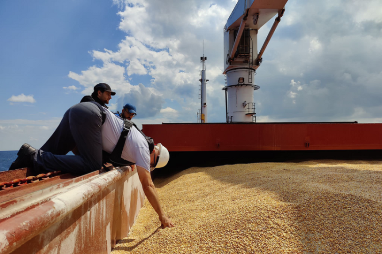 Rusia perpanjang kesepakatan ekspor biji-bijian Laut Hitam