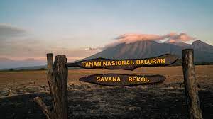 Taman Nasional Baluran Situbondo Alami Kebakaran - AMEG.ID