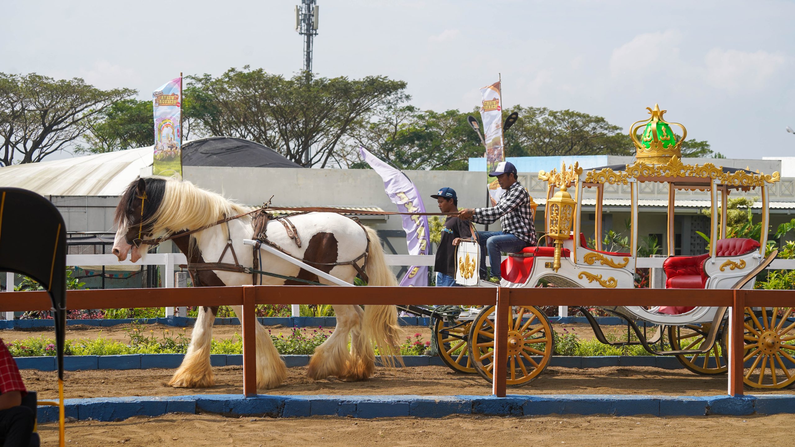 Wisata Berkuda Ini Menjadi Wahana Yang Wajib Dicoba Saat Berkunjung Ke Drive Thru Park