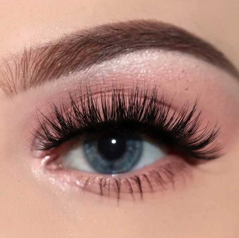 Tipe eyelash extension squirrel (Just Perfect Touch)