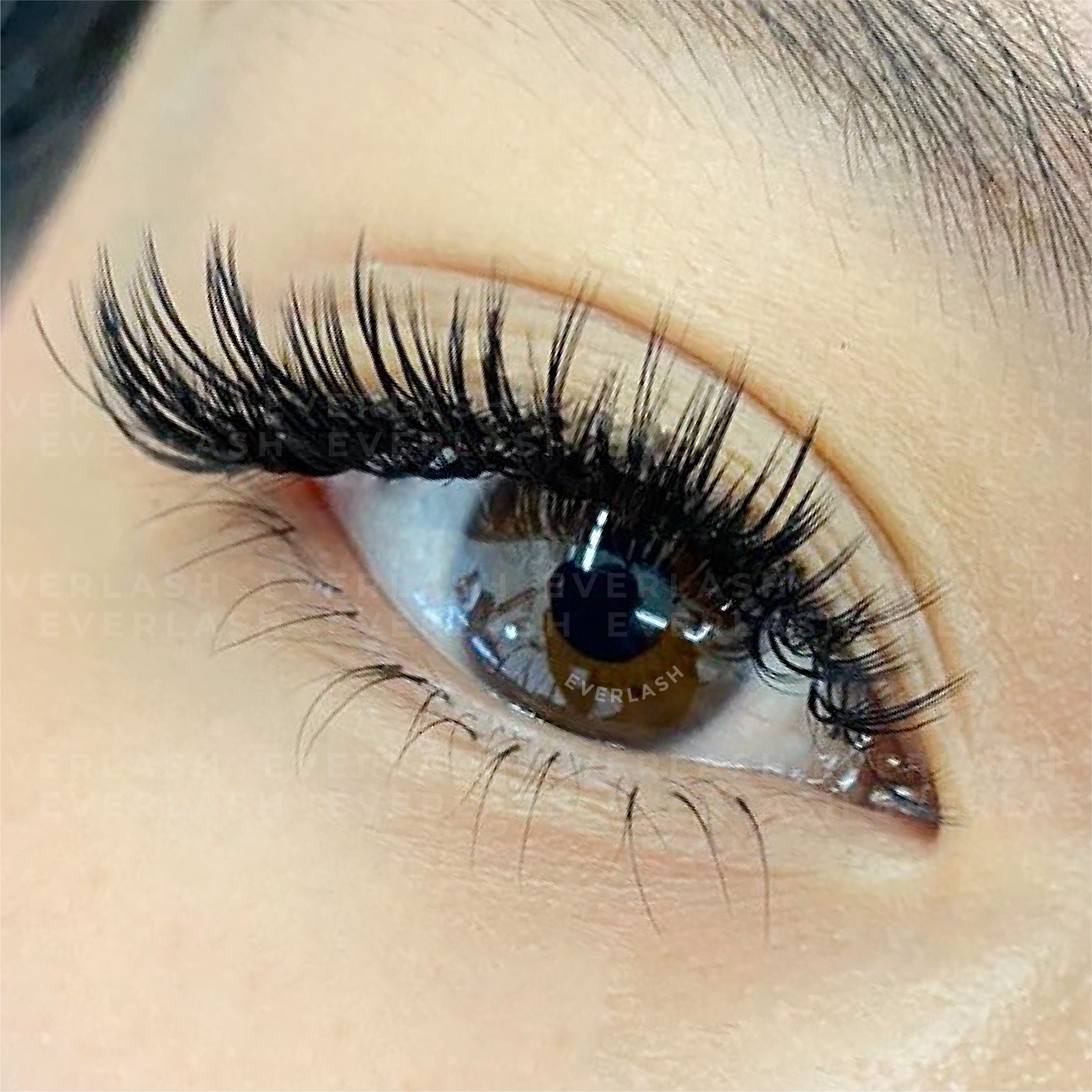 Tipe eyelash extension wispy lashes (Everlash)