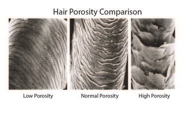 Penampakan batang rambut sesuai porositasnya (Rehairducation) Penampakan batang rambut sesuai porositasnya (Rehairducation)