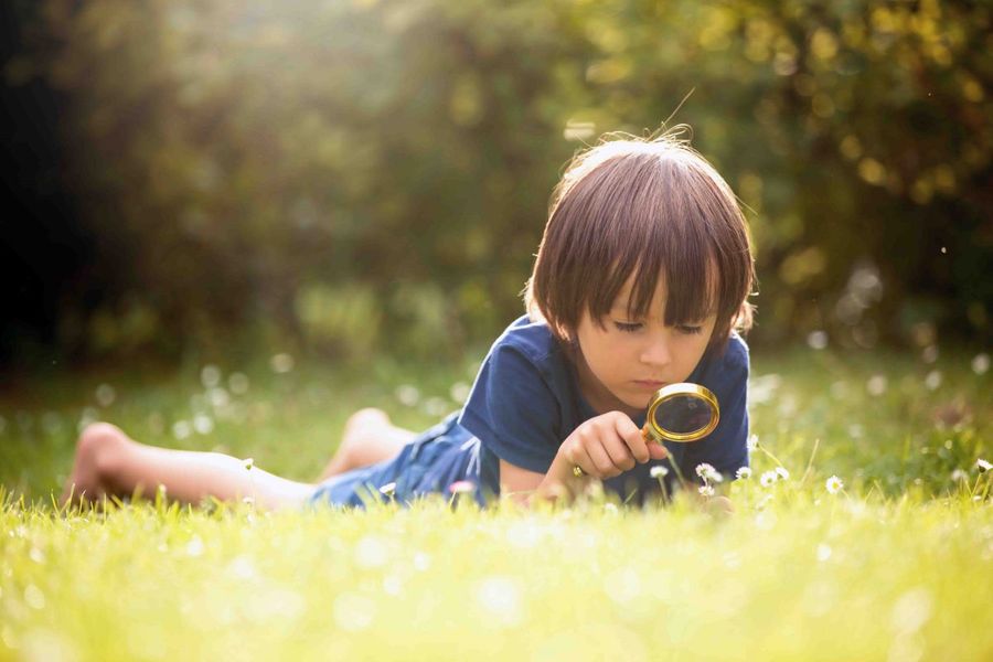 Organic Parenting Adalah