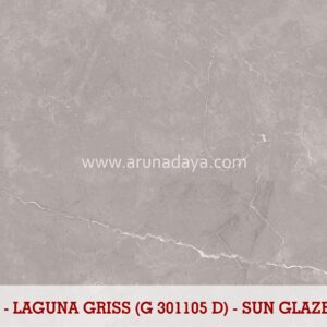 LAGUNA GRISS