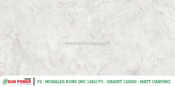 MORALES BONE - Gambar 2