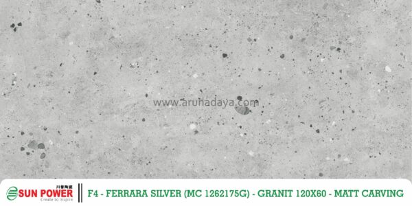 FERRARA SILVER - Gambar 4