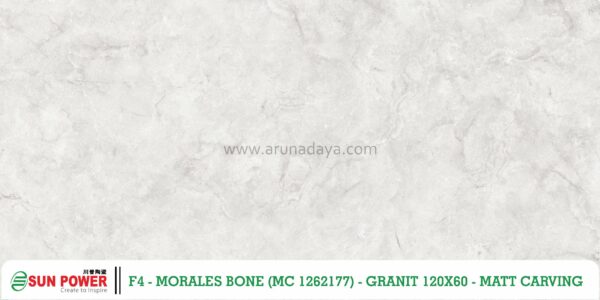 MORALES BONE - Gambar 4