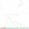 CALACATA VAGLIE - Gambar 6