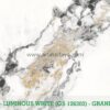 LUMINOUS WHITE