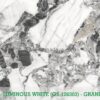 LUMINOUS WHITE - Gambar 6