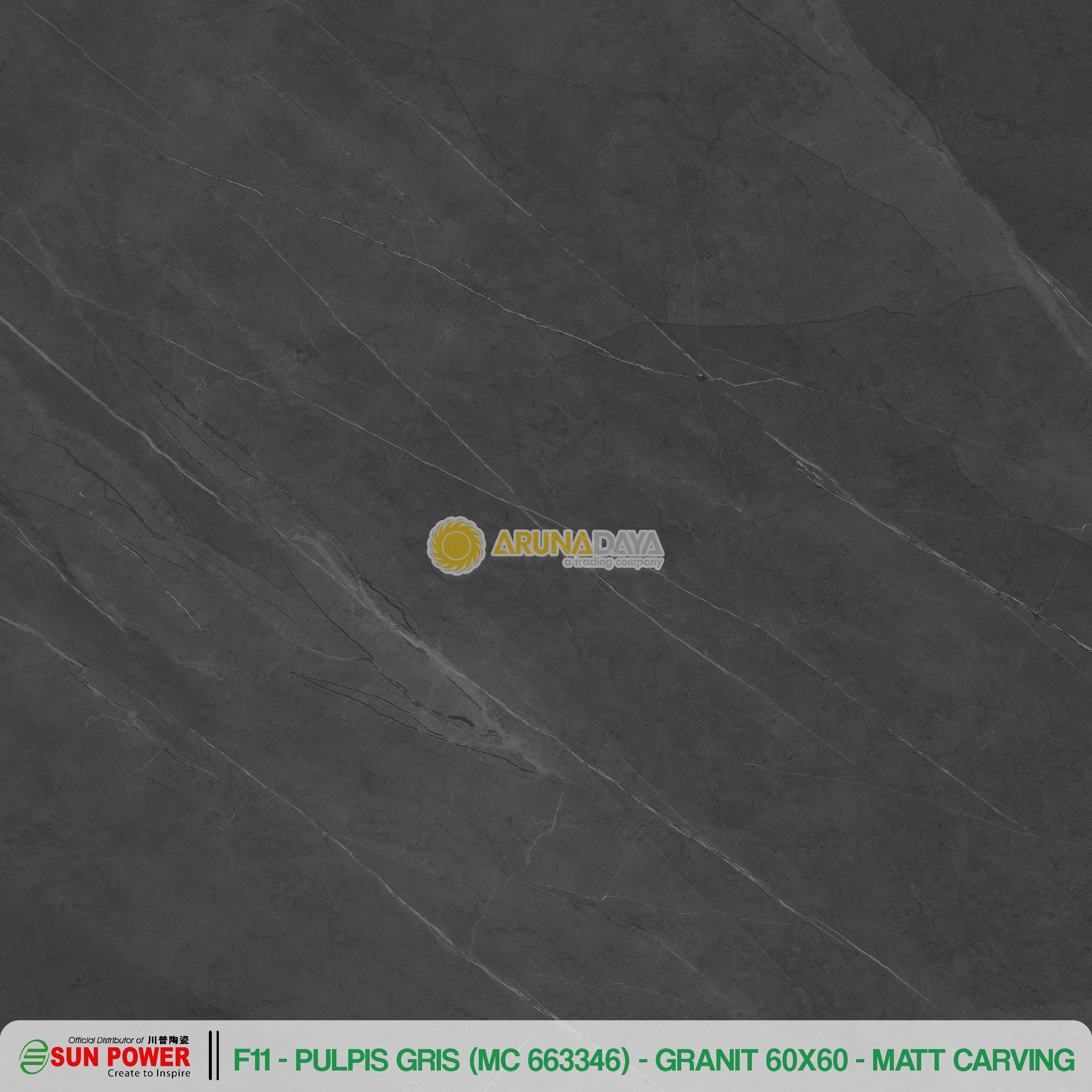 PULPIS GRIS - Gambar 4