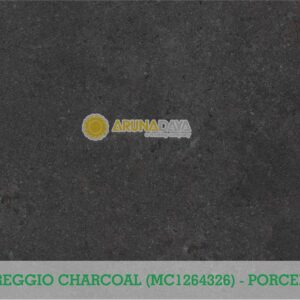 REGGIO CHARCOAL