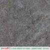 FIOR GRIGIO - Gambar 4
