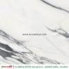 PANDA WHITE - Gambar 2