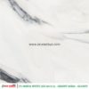 PANDA WHITE - Gambar 10