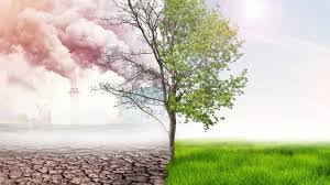 Perubahan Iklim Dorong Kenaikan Harga Makanan dan Energi Global