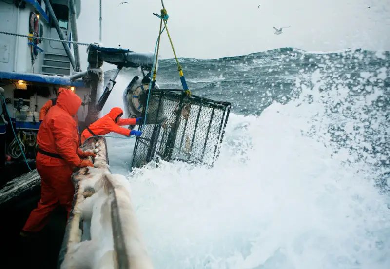 Deep Sea Fisherman, Profesi dengan Bayaran Besar dan Risiko Kematian