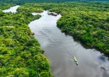 Hutan Amazon di Brazil Jadi Kunci Oksigen dan Penyeimbang Iklim Dunia