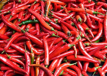 Harga Cabai Naik dan Turun Begitu Cepat, Begini Penjelasan Ekonominya