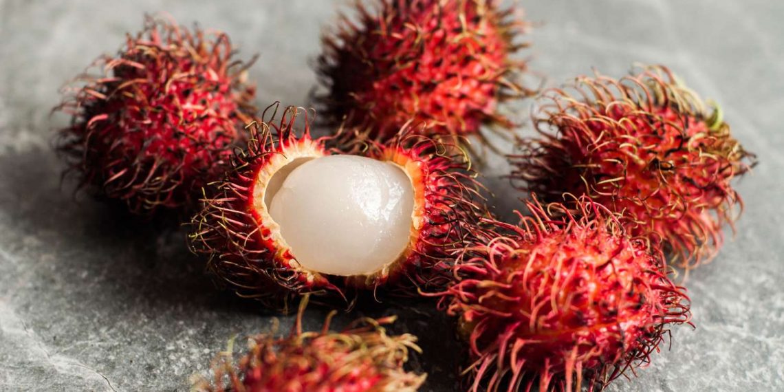 Musim Rambutan Diprediksi Mundur, Petani Ungkap Penyebabnya