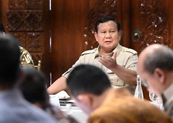 Presiden Prabowo Pimpin Strategi Ekonomi dan Stabilitas Keuangan Nasional