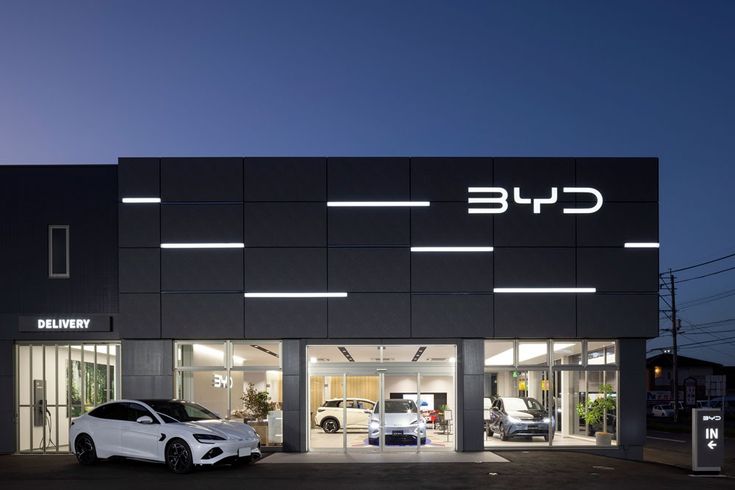 BYD Tarik Lebih dari 115.000 Mobil karena Masalah Desain dan Baterai