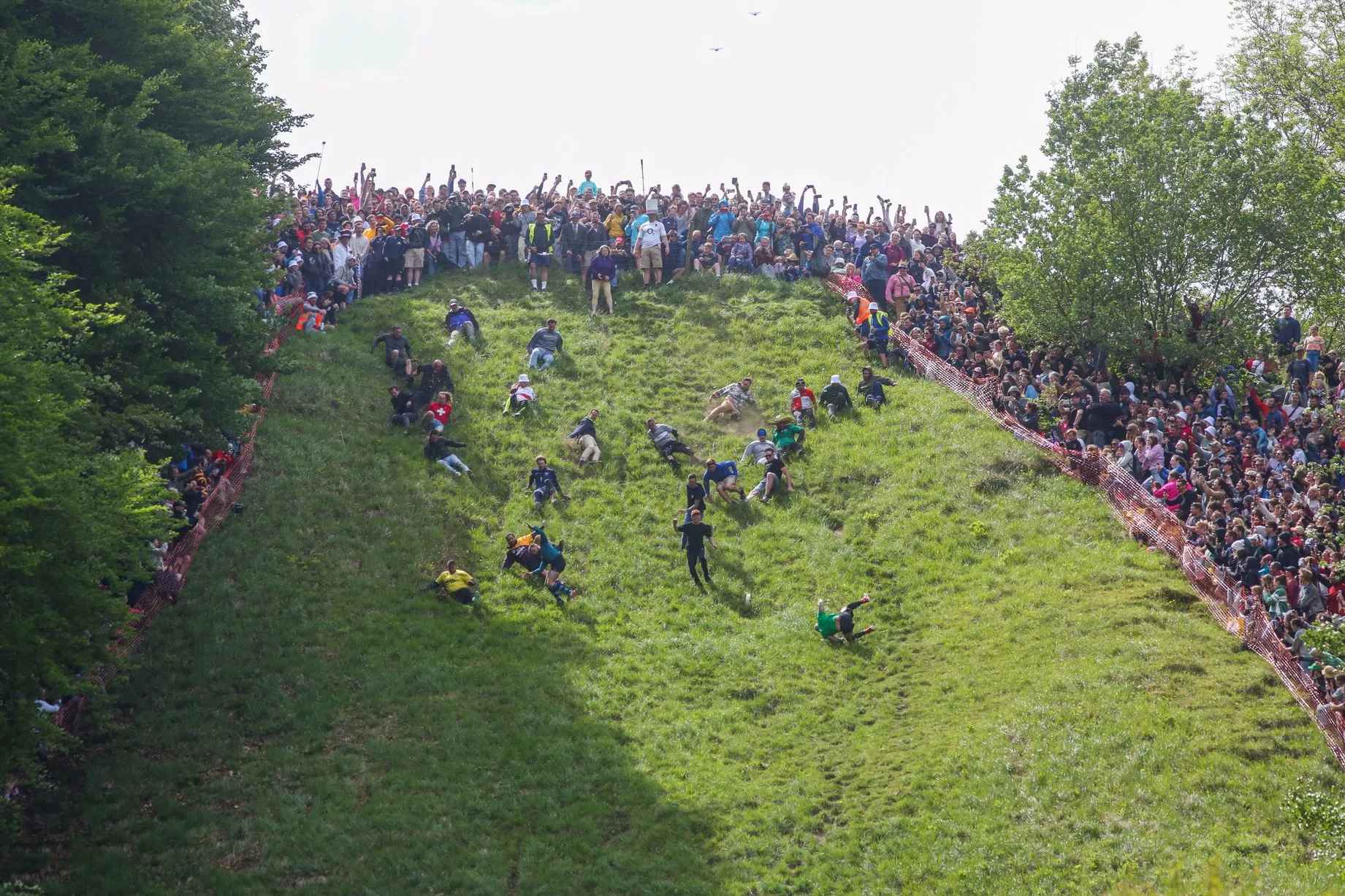 Asal Usul Cheese Rolling yang Masih Digelar di Inggris