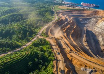 Dari Sawit hingga Nikel: Dampak Ekspor Komoditas bagi Ekonomi Indonesia