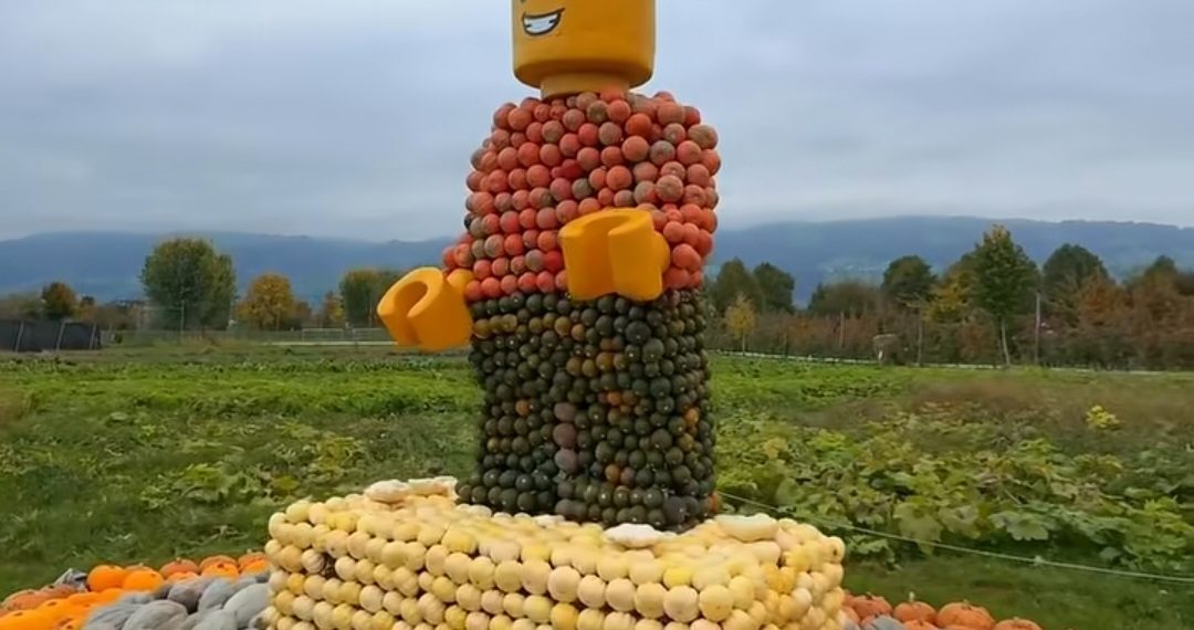 Festival Labu di Swiss: Tradisi Musim Gugur yang Bikin Kagum Wisatawan