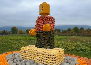 Festival Labu di Swiss: Tradisi Musim Gugur yang Bikin Kagum Wisatawan