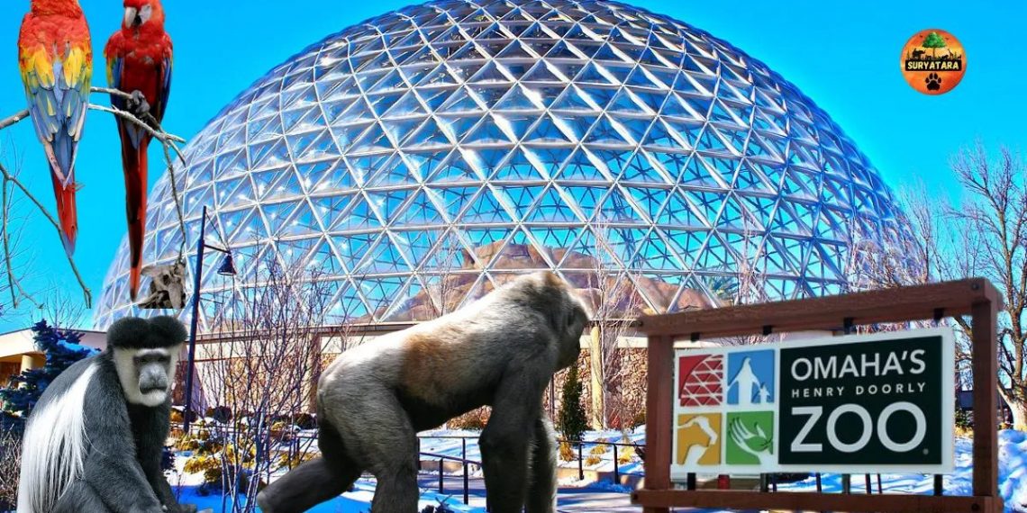 Pakan Hewan di Kebun Binatang Terbesar Dunia Tembus Rp 2 Miliar per Bulan