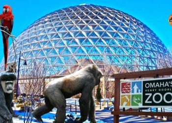 Pakan Hewan di Kebun Binatang Terbesar Dunia Tembus Rp 2 Miliar per Bulan